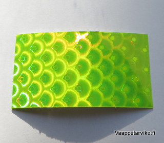 Uistinteippi hologrammi no.18